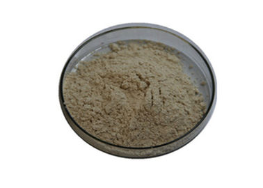 China Light Beige Brown Naphthol AS-D Intermediates 99.03% Purity EINECS 205-205-0 supplier