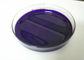 Violet 5v Pu Pigment Paste High Color Strength SGS MSDS COA TDS Certification supplier